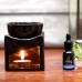 Pure Blueberry Essential Oil - 15ml